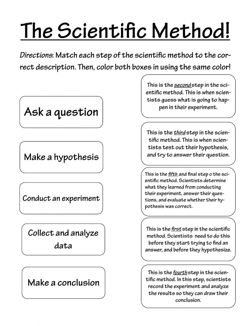 Scientific Method Match online exercise for Live Worksheets