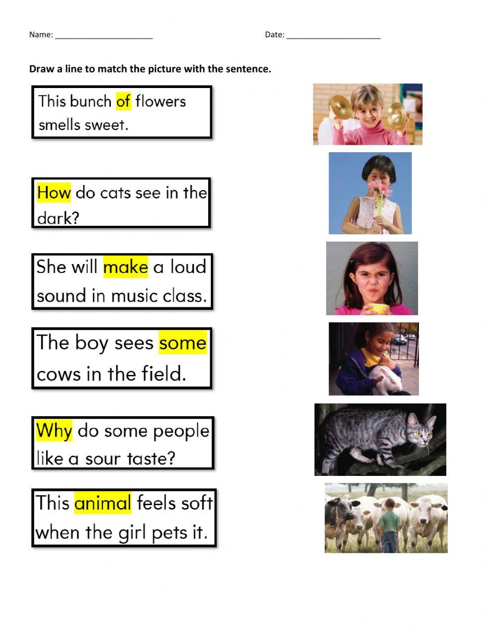 How Animals Communicate Vocabulary 567696 | anamr924