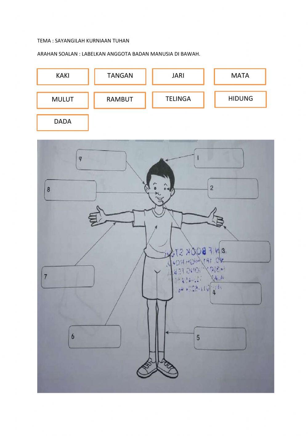 Sayangilah kurniaan tuhan