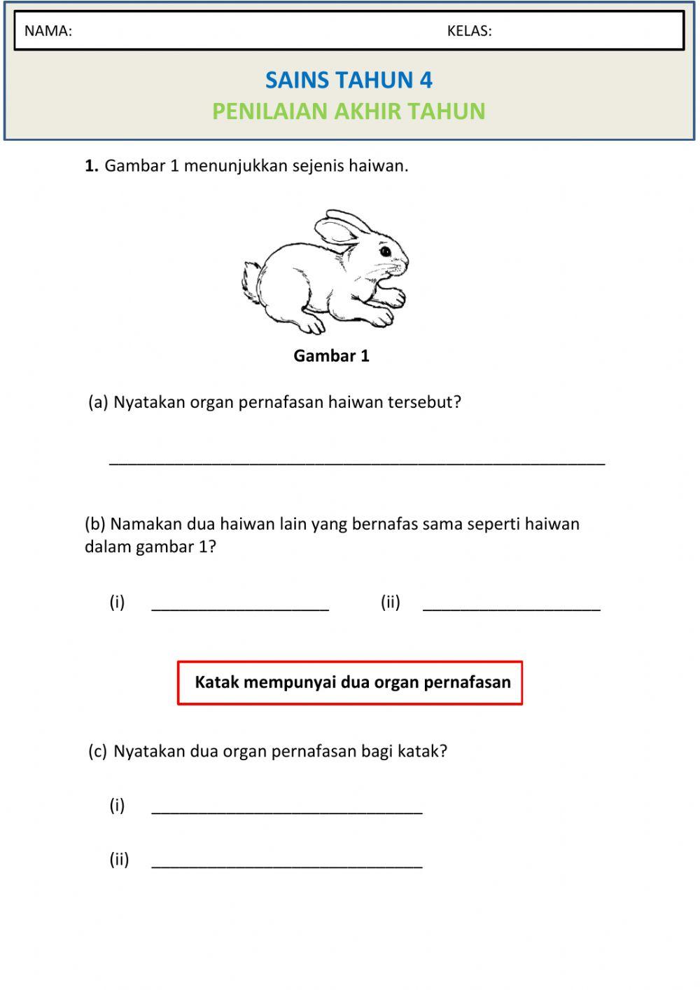 Penilaian Akhir Tahun