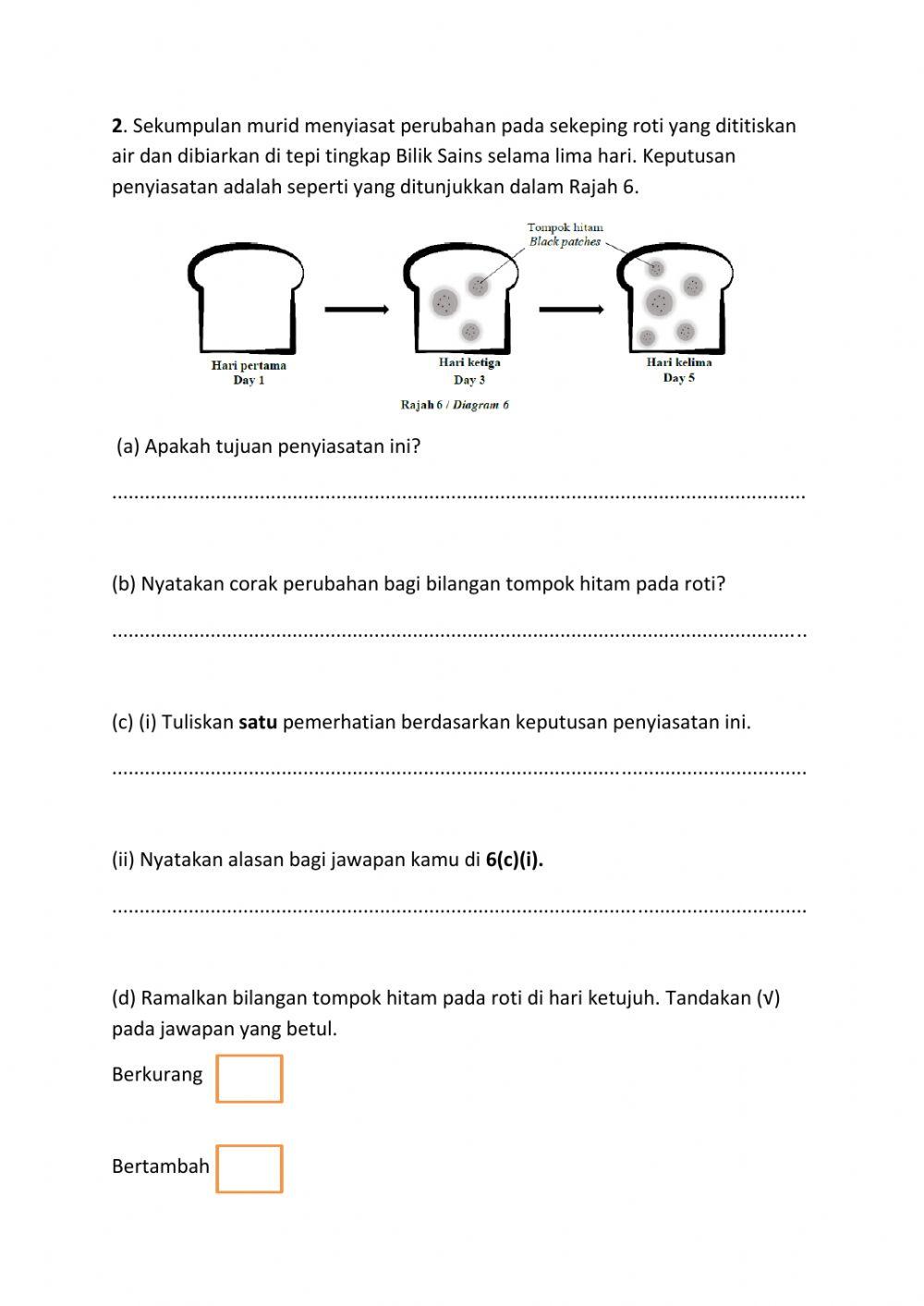 Penilaian Akhir Tahun