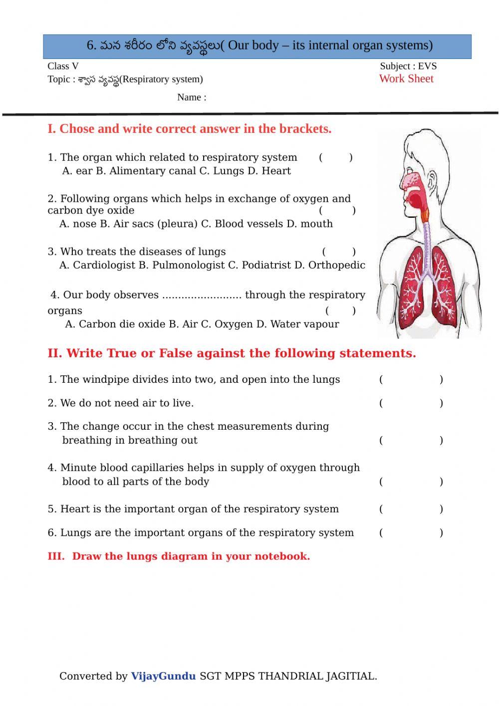 5th evs organ sys RS em by Vijay GUndu 5th evs organ sys RS em by Vijay GUndu