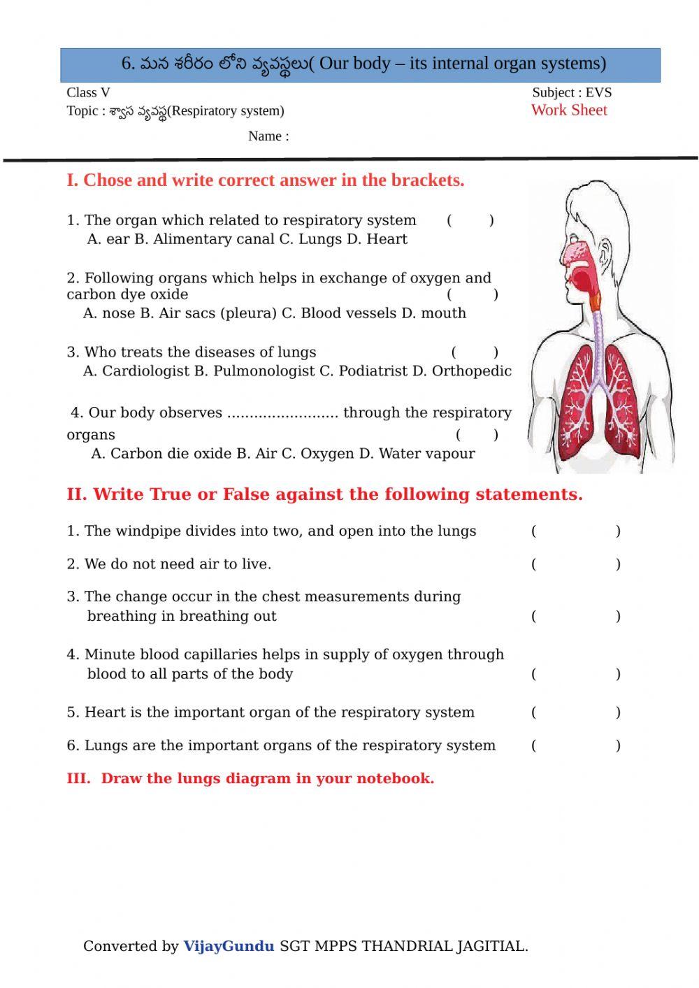 5th evs organ sys RS em by Vijay GUndu