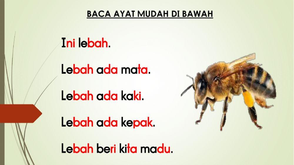 Kemahiran 11: Perkataan KVKVK (Bacaan Ayat Mudah)