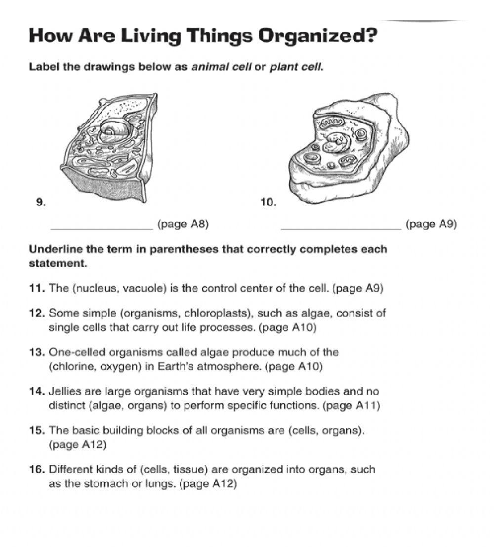 Science Chapter 1 Characteristics of living things