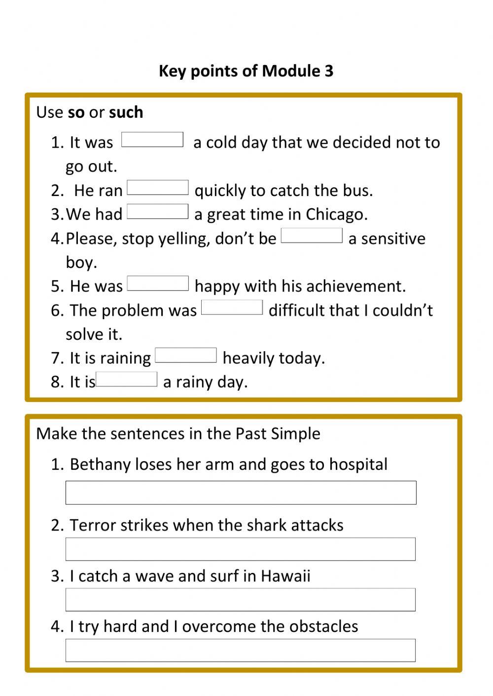 So-Such- Past Simple