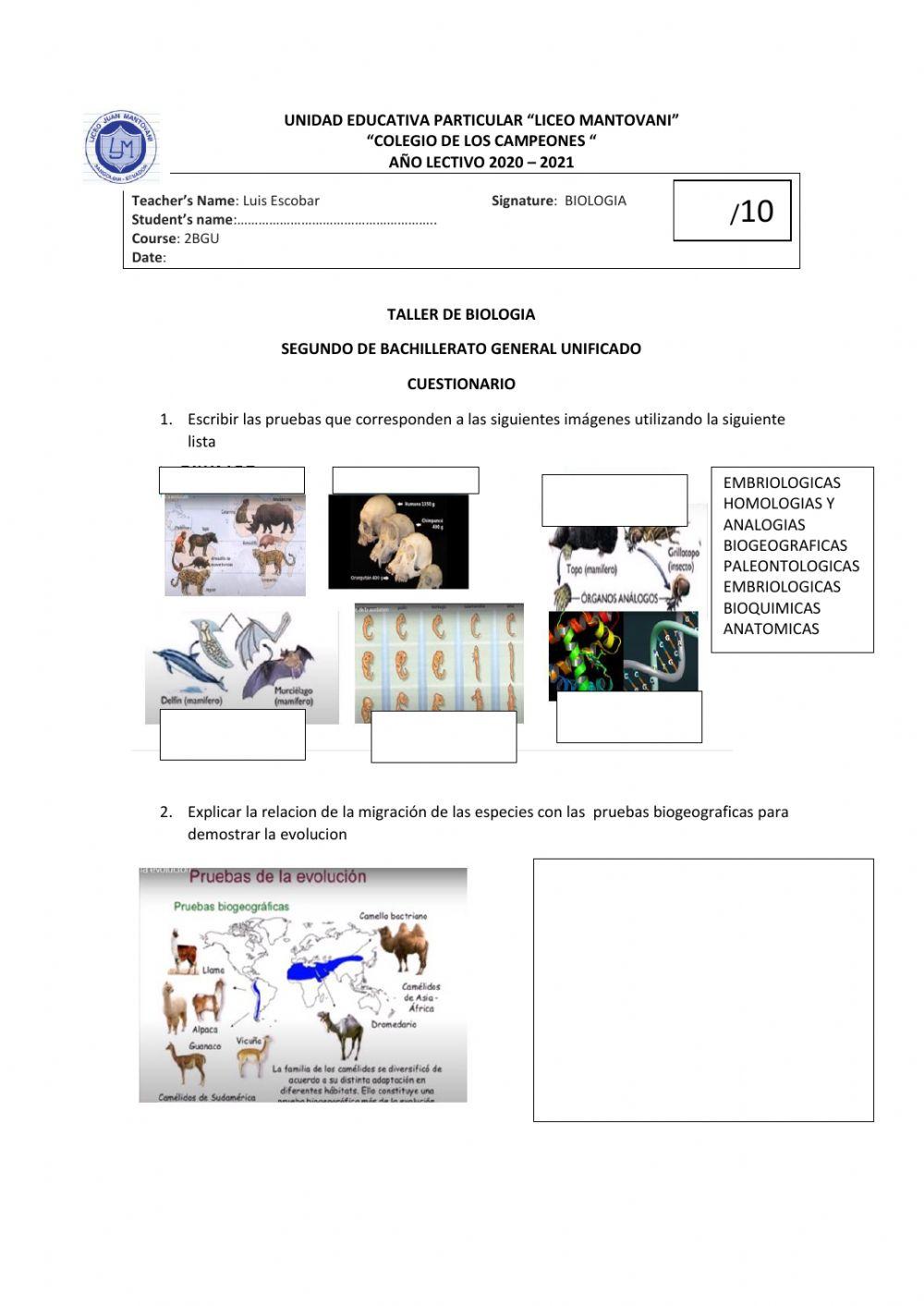 Mecanismo de la evolucion