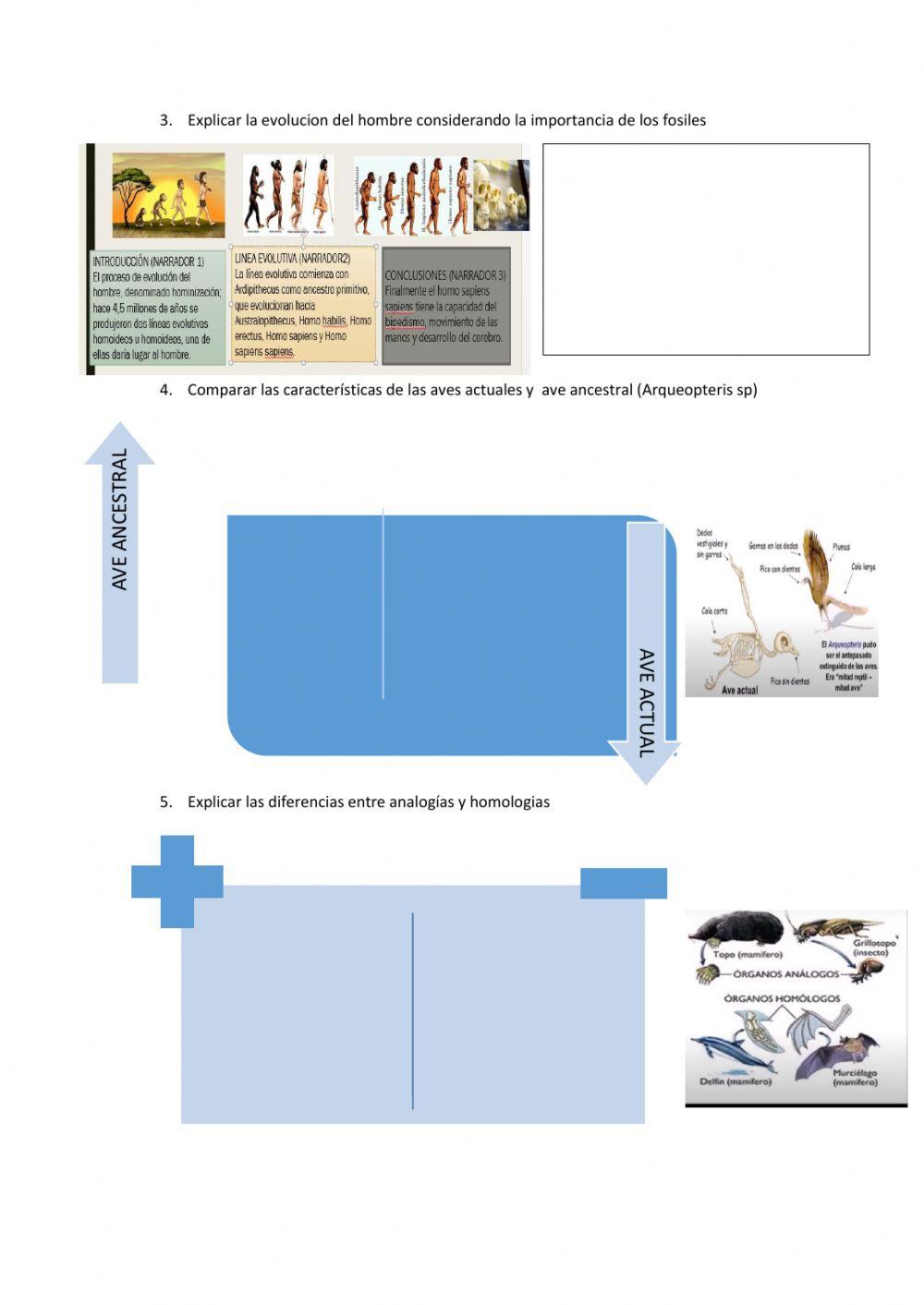 Mecanismo de la evolucion