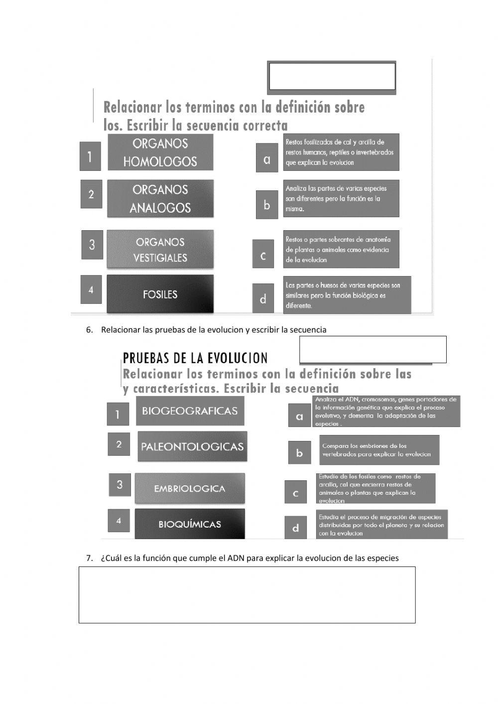 Mecanismo de la evolucion