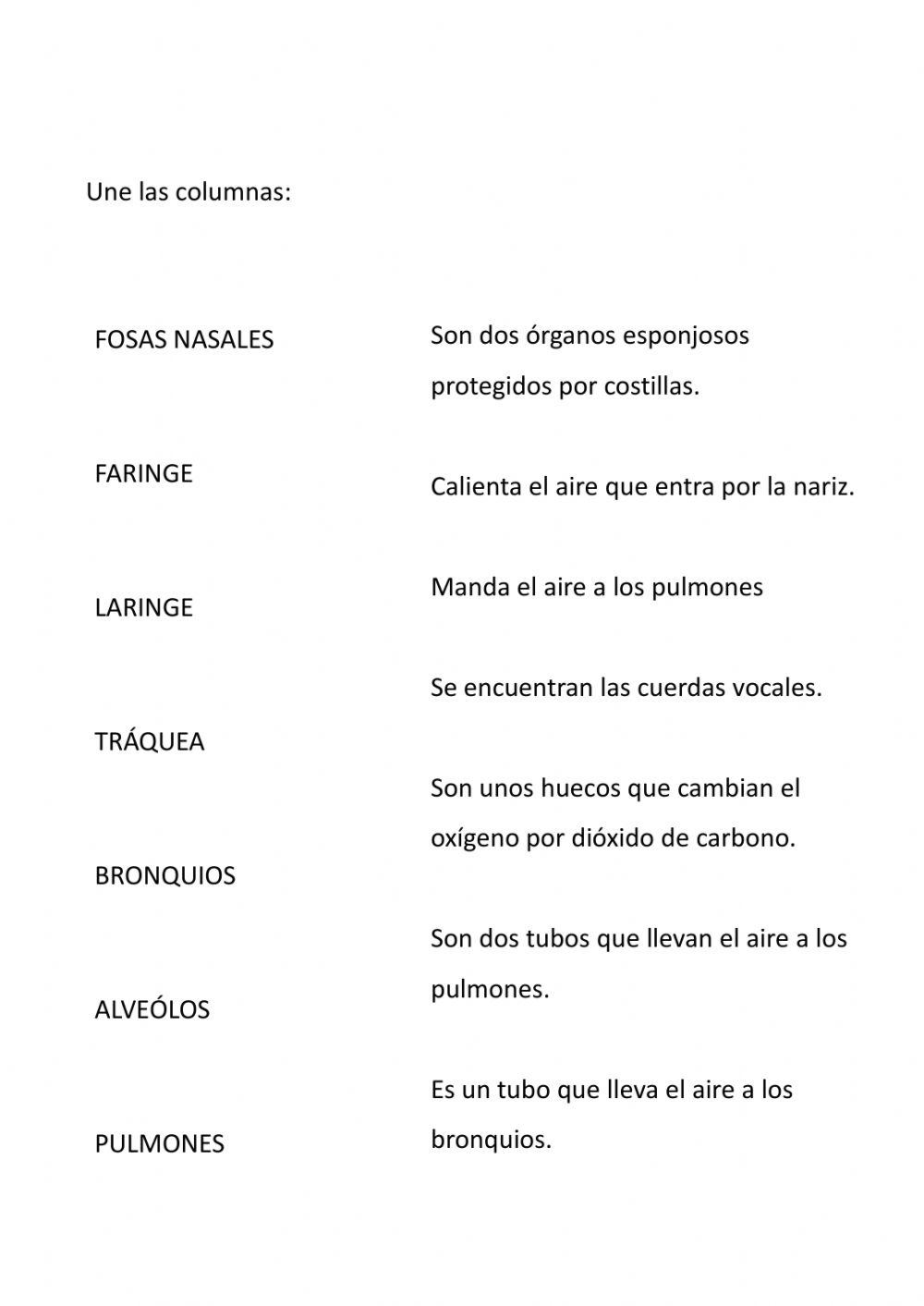 Aparato respiratorio