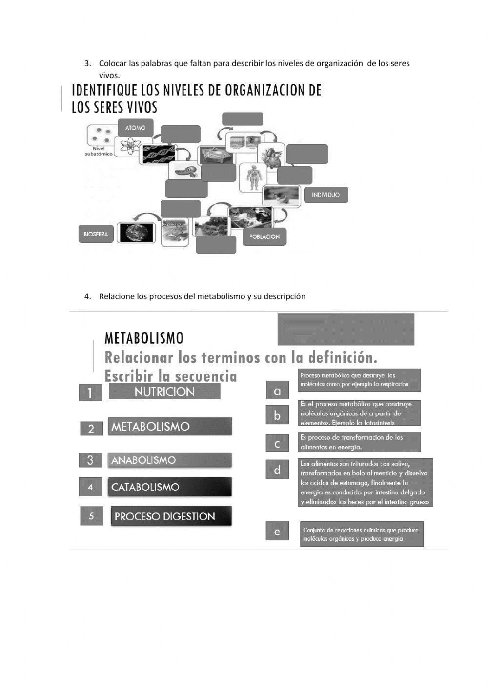 Propiedades de los seres vivos