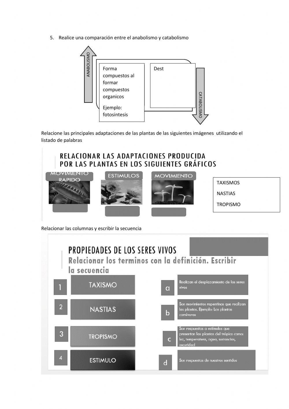 Propiedades de los seres vivos