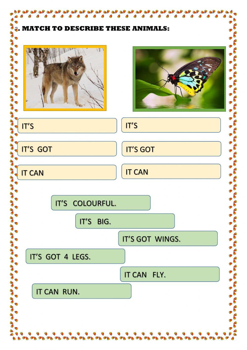 Animals -describing