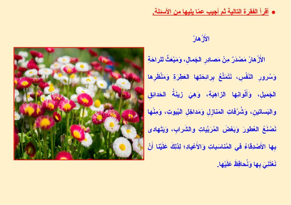 الفهم والاستيعاب - الأزهار