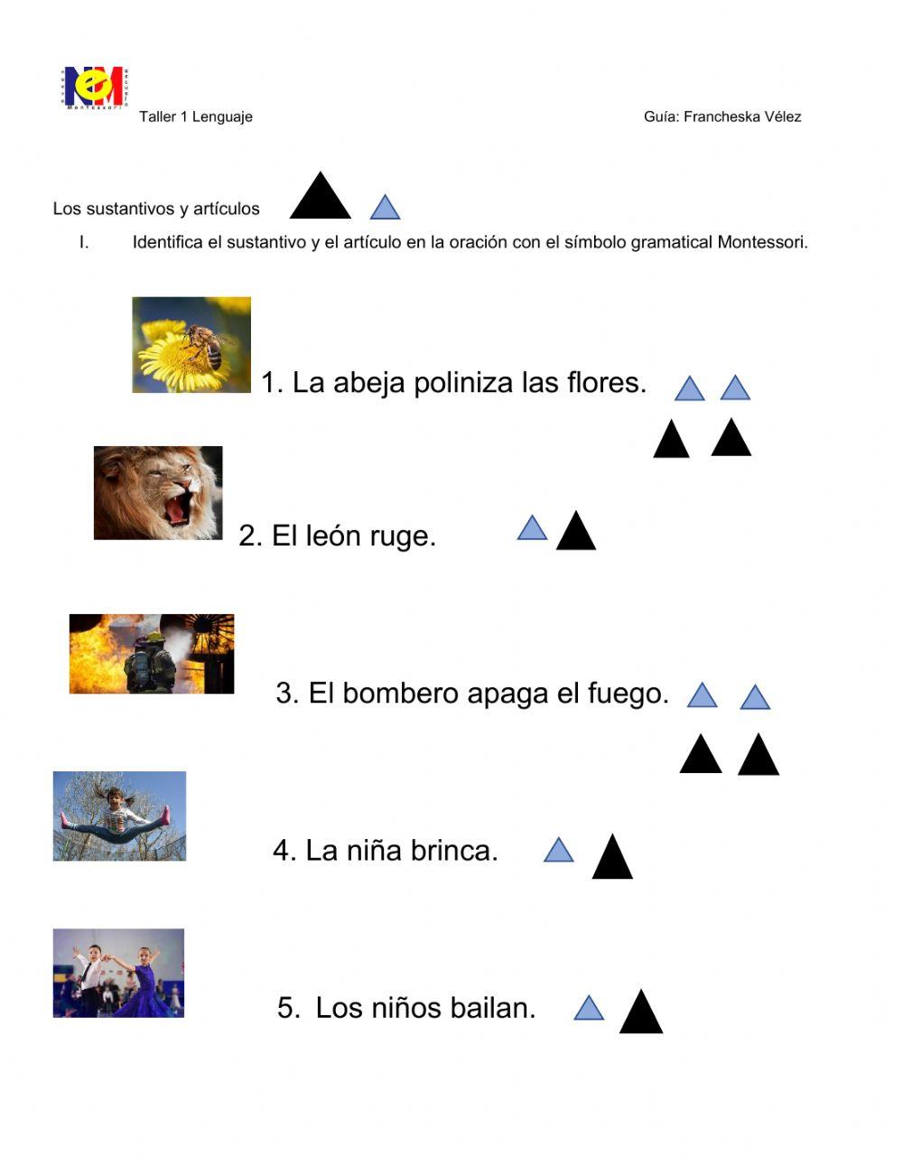 Sustantivos  y artículos signo gramatical Montessori