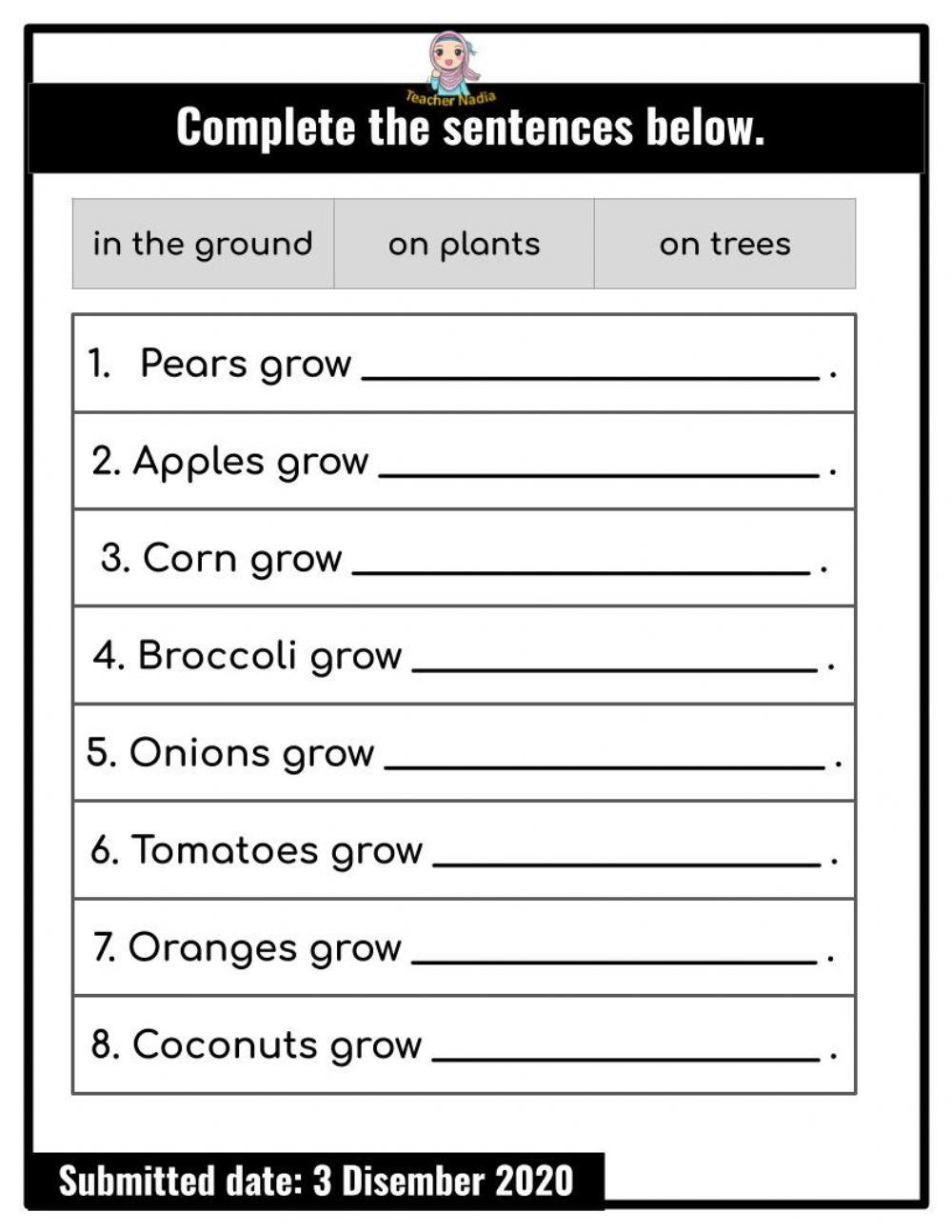 How do plants grow? interactive worksheet Live Worksheets