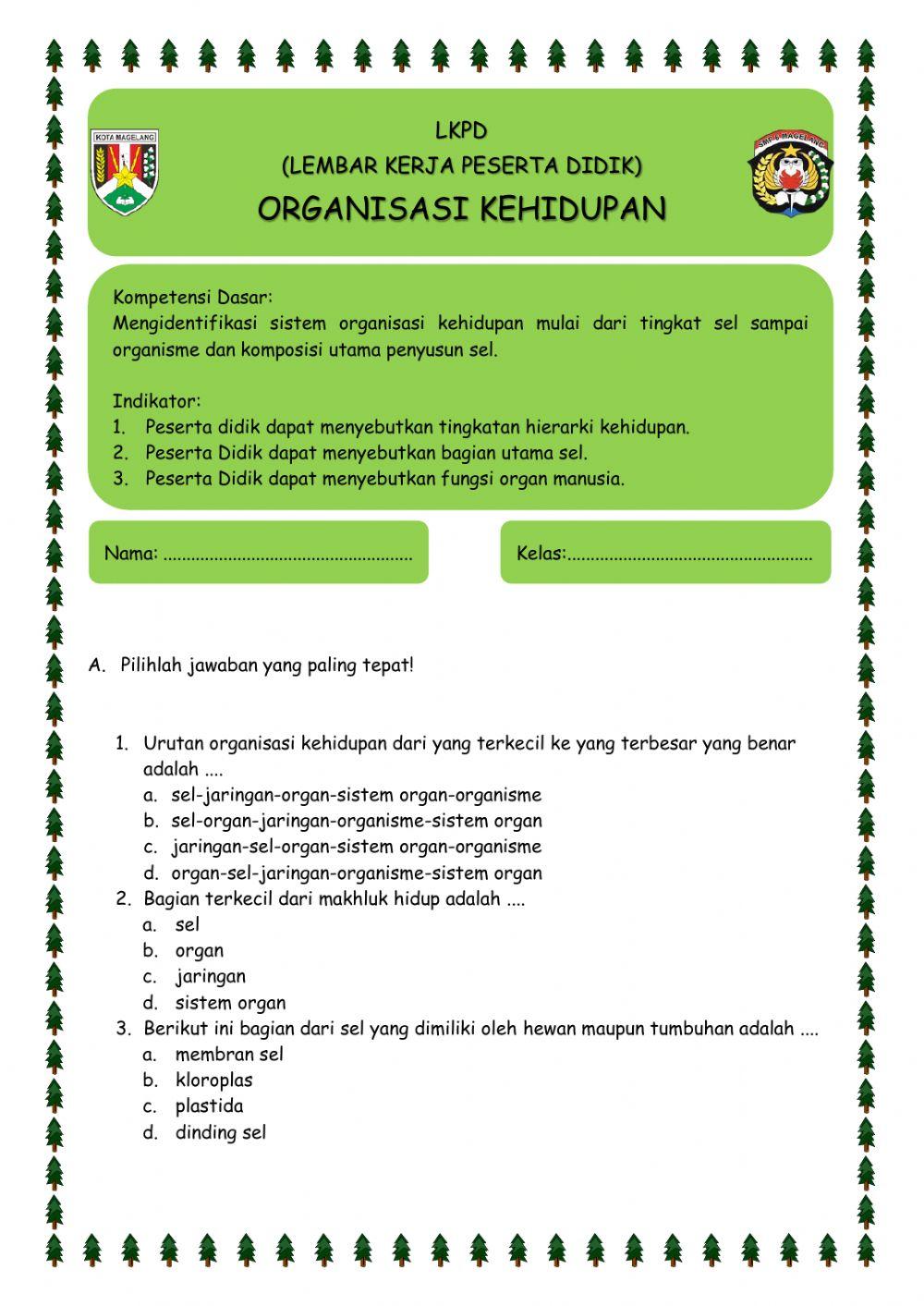 Organisasi Kehidupan