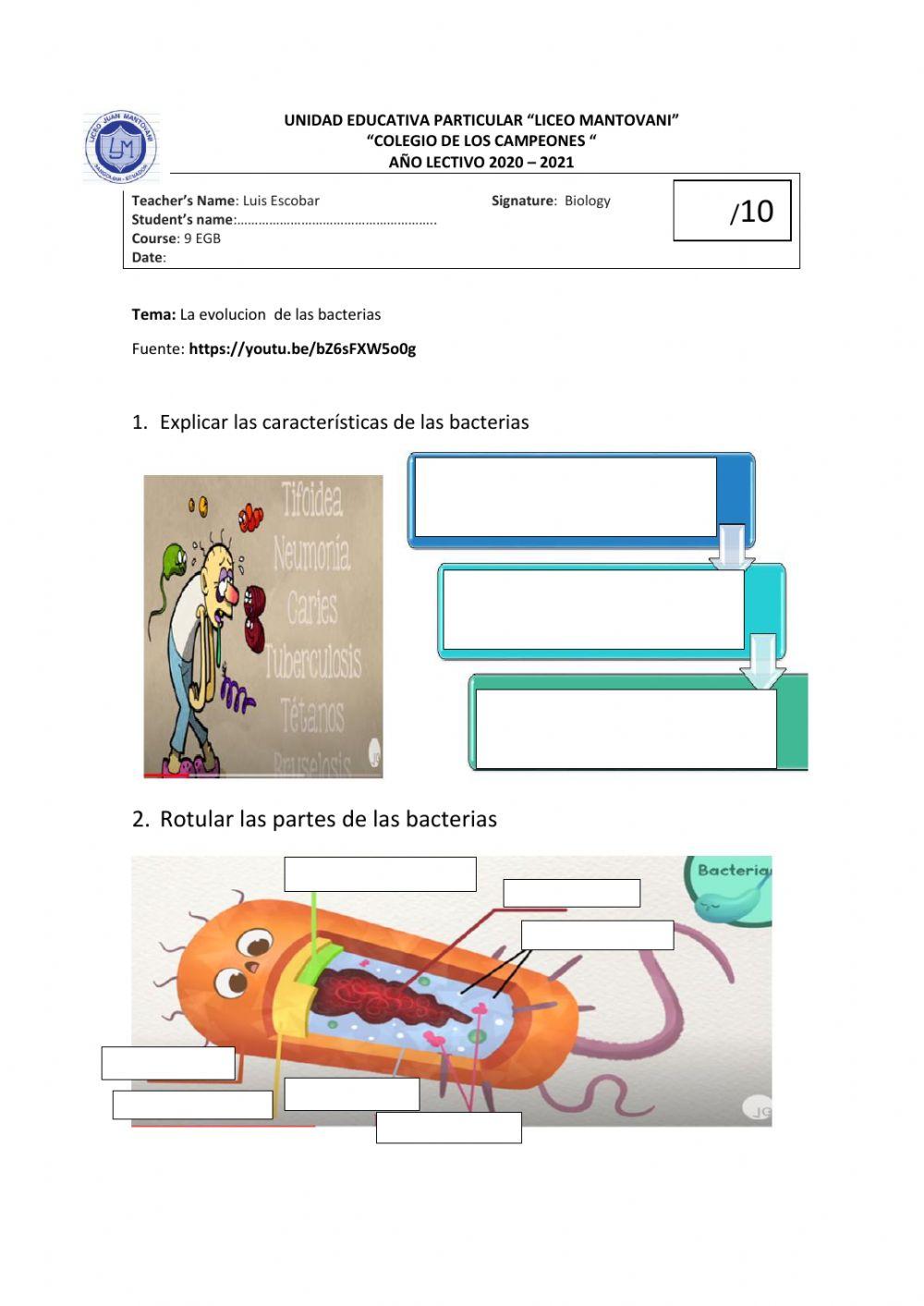 Evolucion de las bacterias