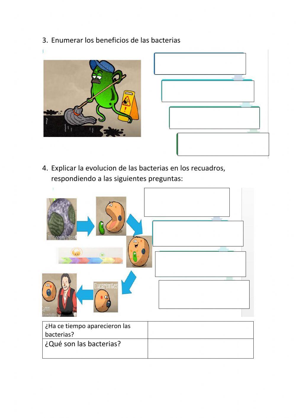 Evolucion de las bacterias