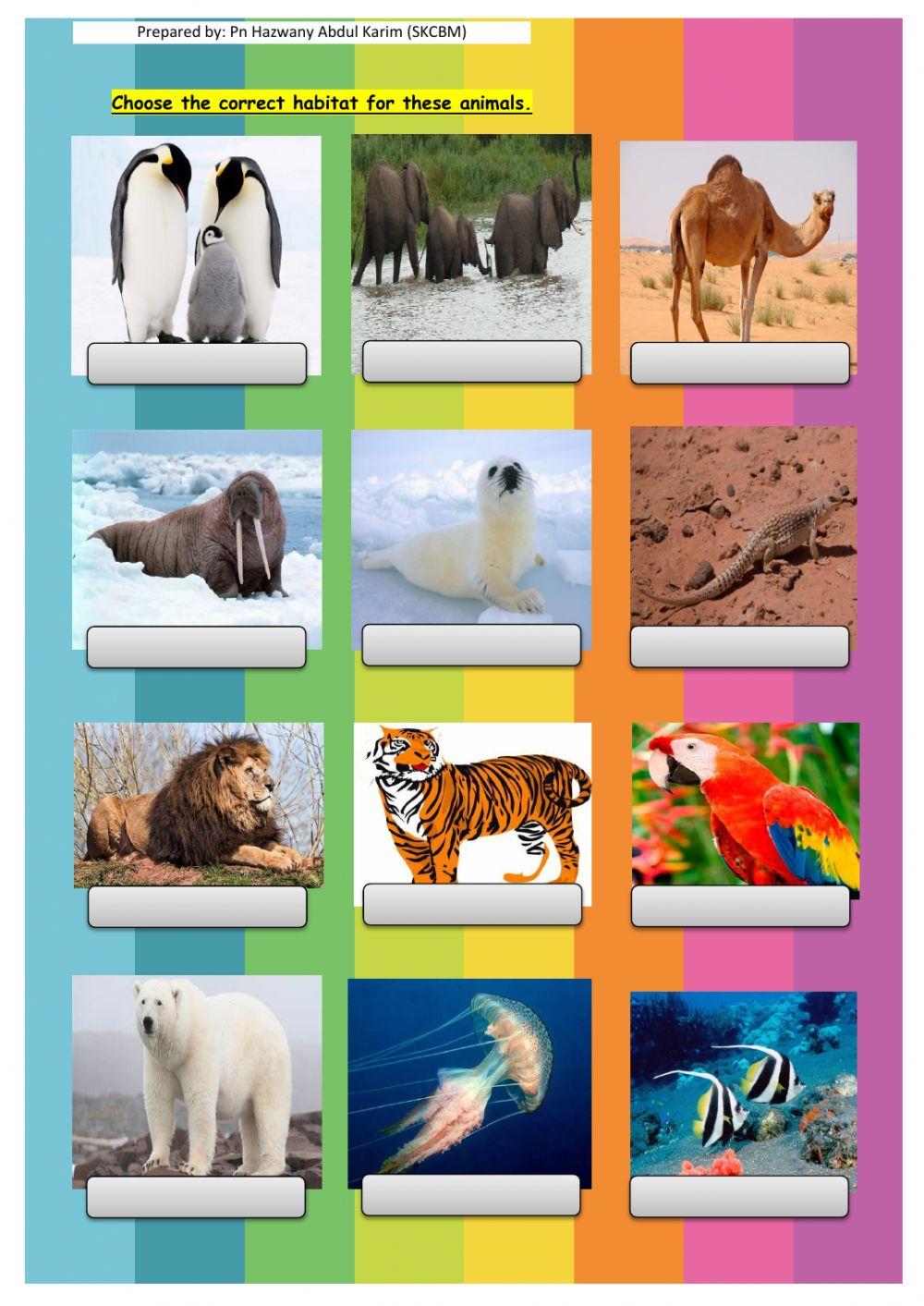 The old house year 2