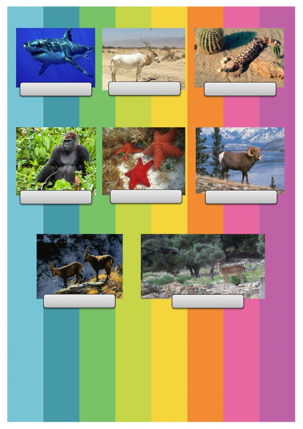 The old house year 2