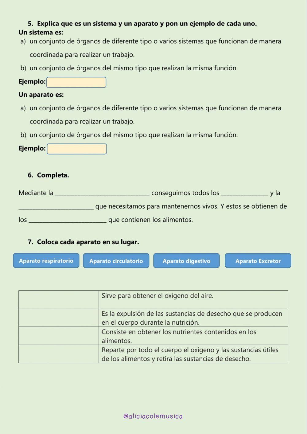 Control unidad 3: ¿Cómo funciona nuestro cuerpo?