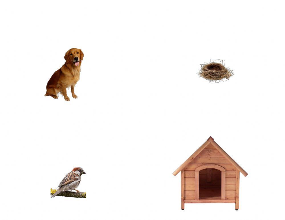 Кой къде живее