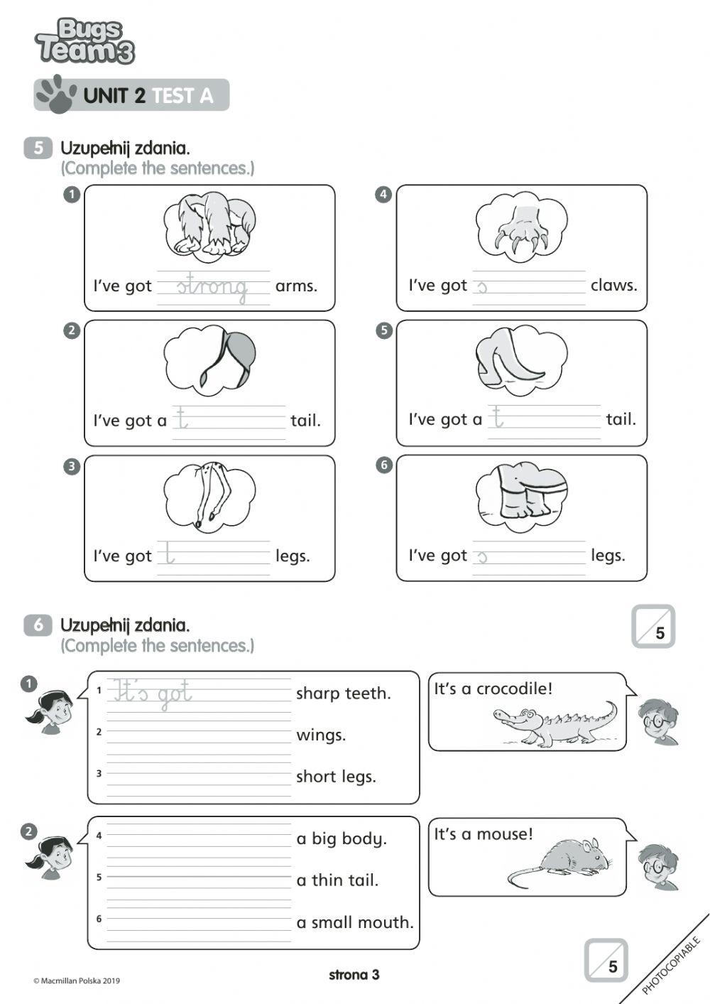 Bugs team 3  Test Unit 2
