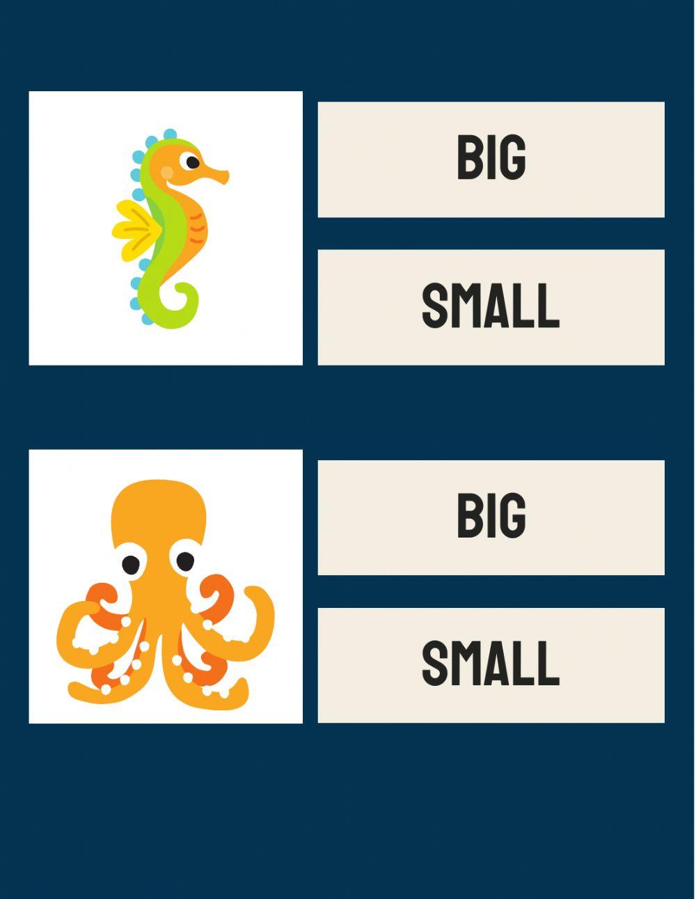 Is it big or small? Is it big or small?