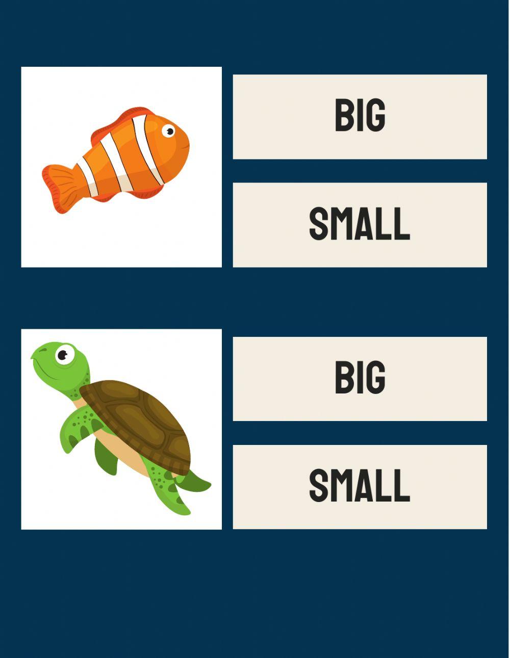 Is it big or small? Is it big or small?