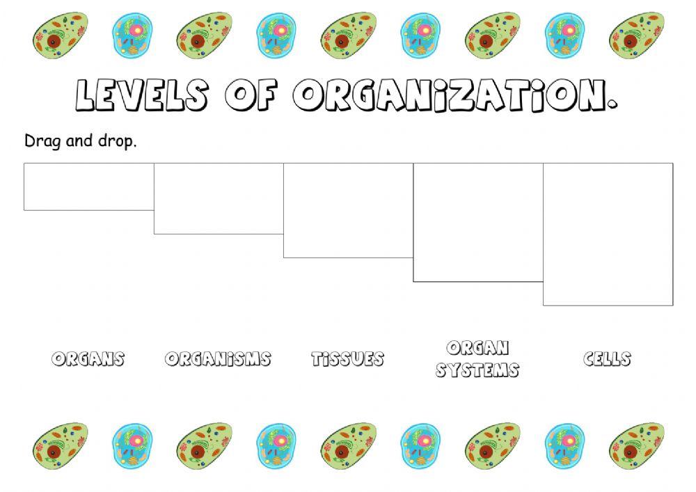 Levels of organization (1).