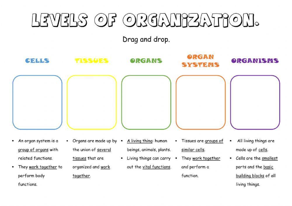 Levels of organization (2).