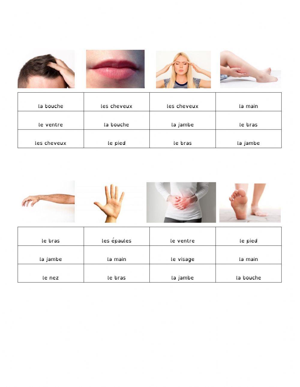 Les parties du corps