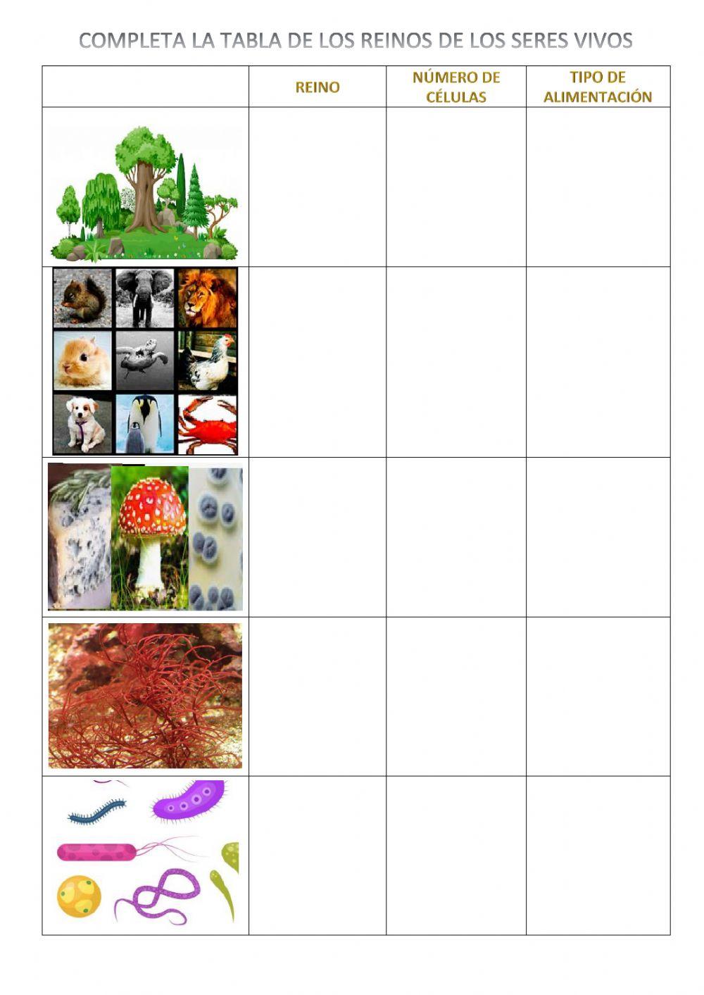 Reinos de los seres vivos