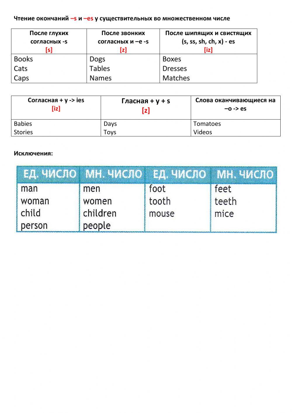 Reading -s-es plural nouns
