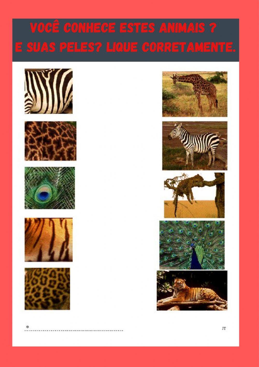 Animais e suas peles