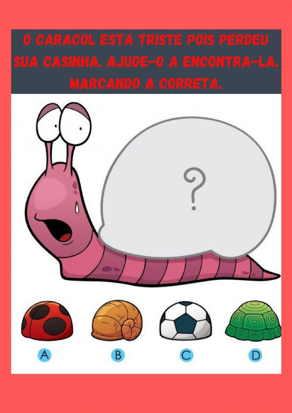 Animais e suas peles