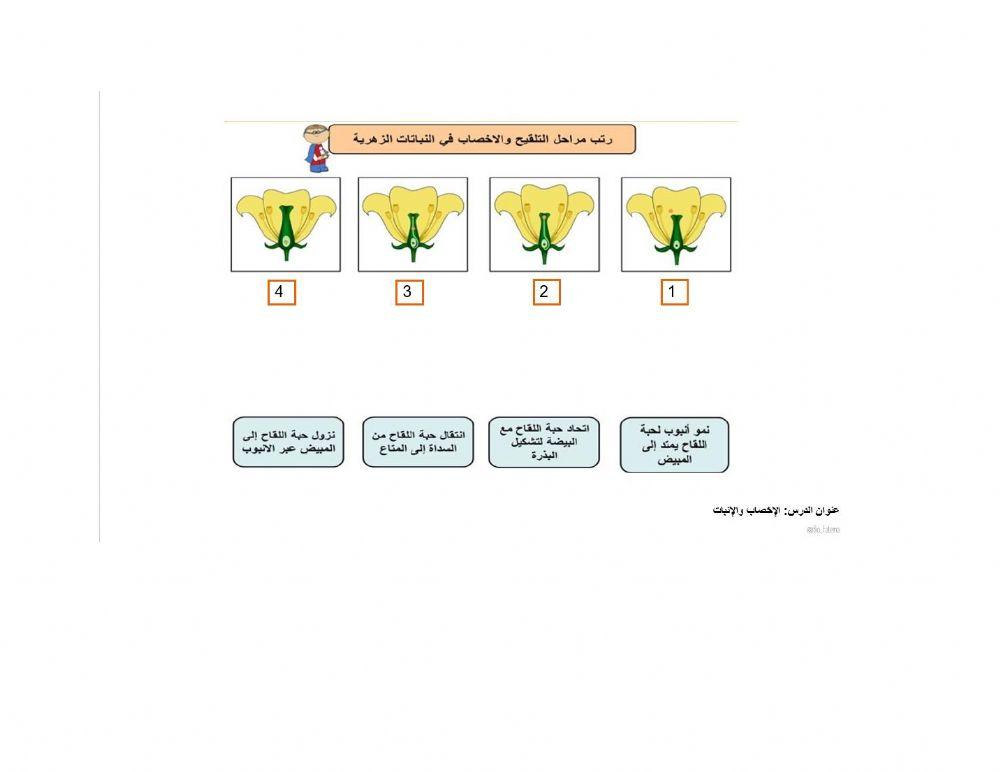 الإخصاب في النبات