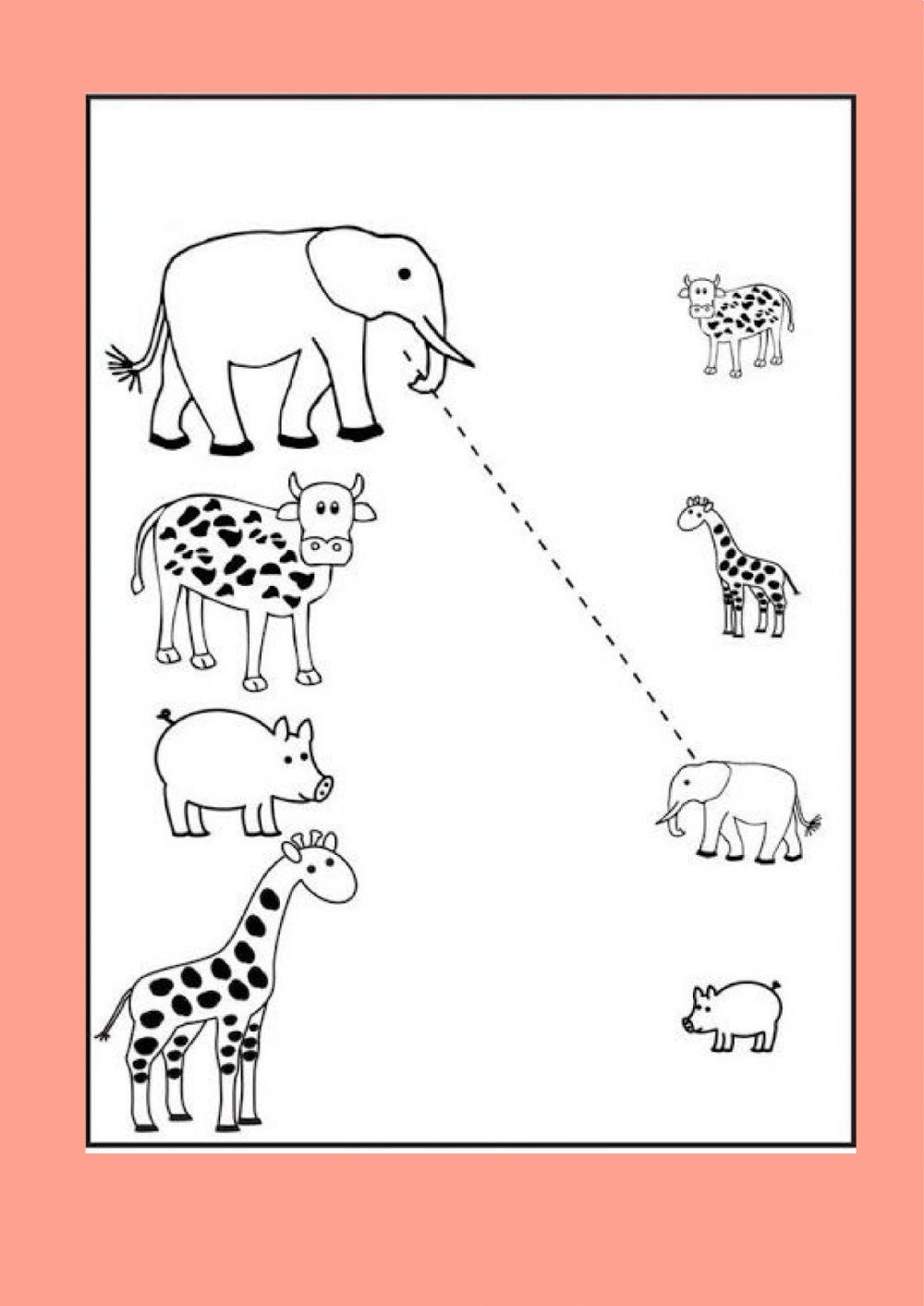 Atenção, concentração e discriminação visual