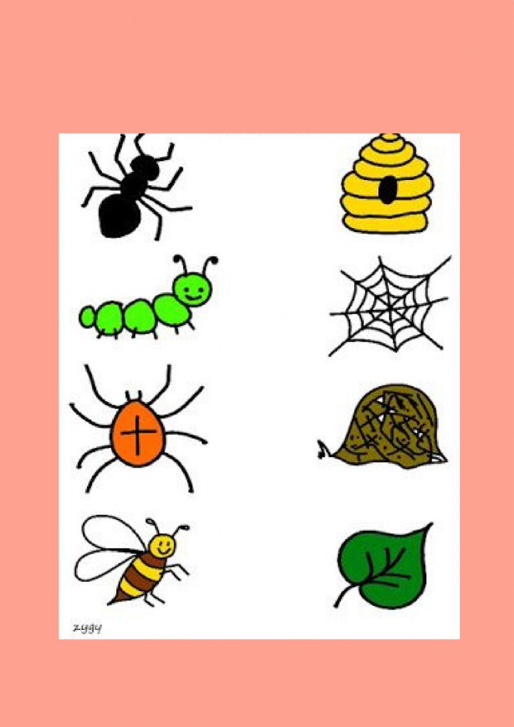 Atenção, concentração e discriminação visual