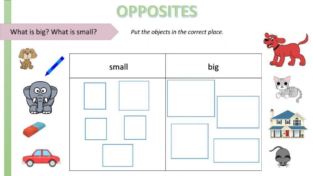 Big small long … | Free Interactive Worksheets | 572070