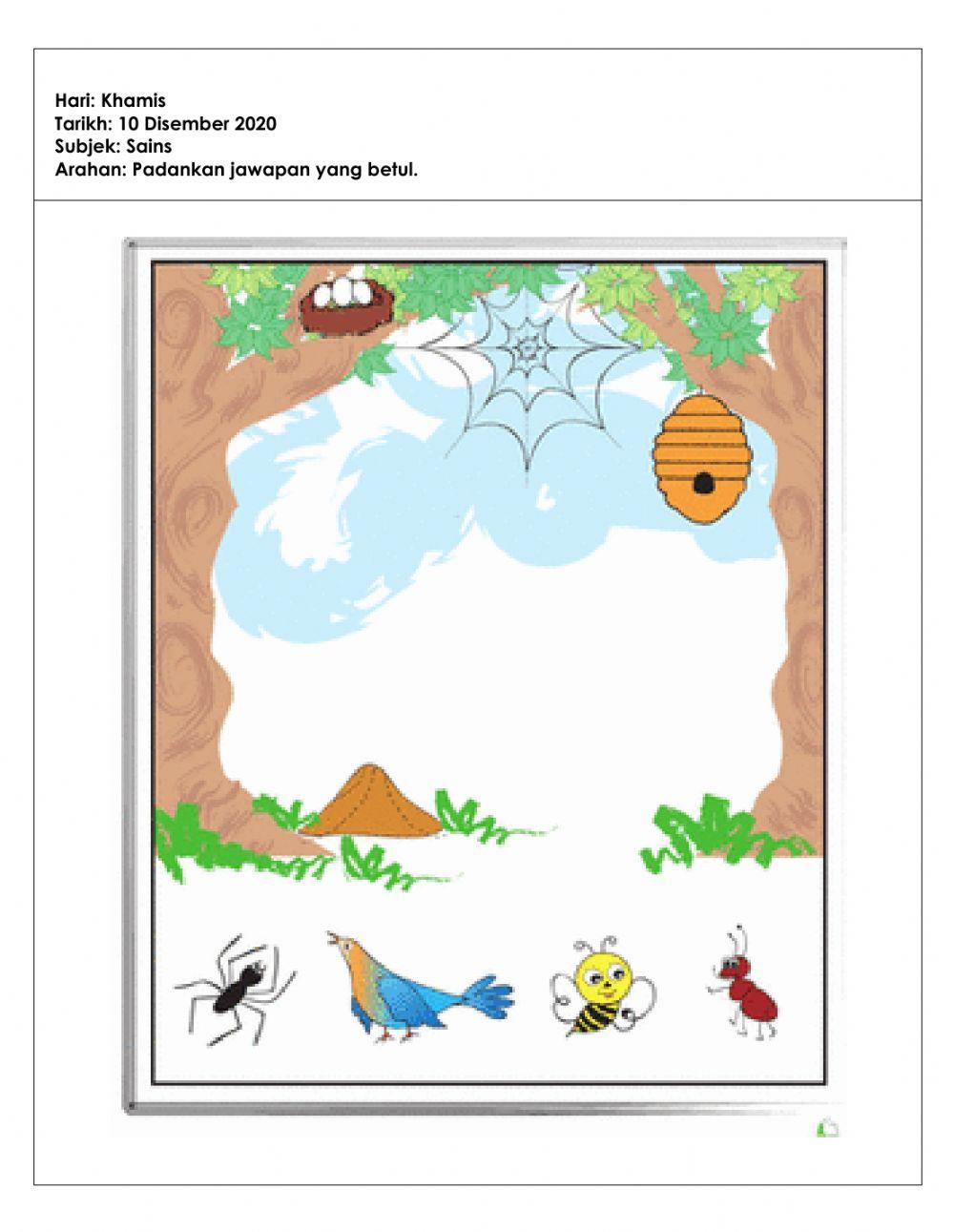 Tugasan pkpb sc (4tahun) 10.12.2020