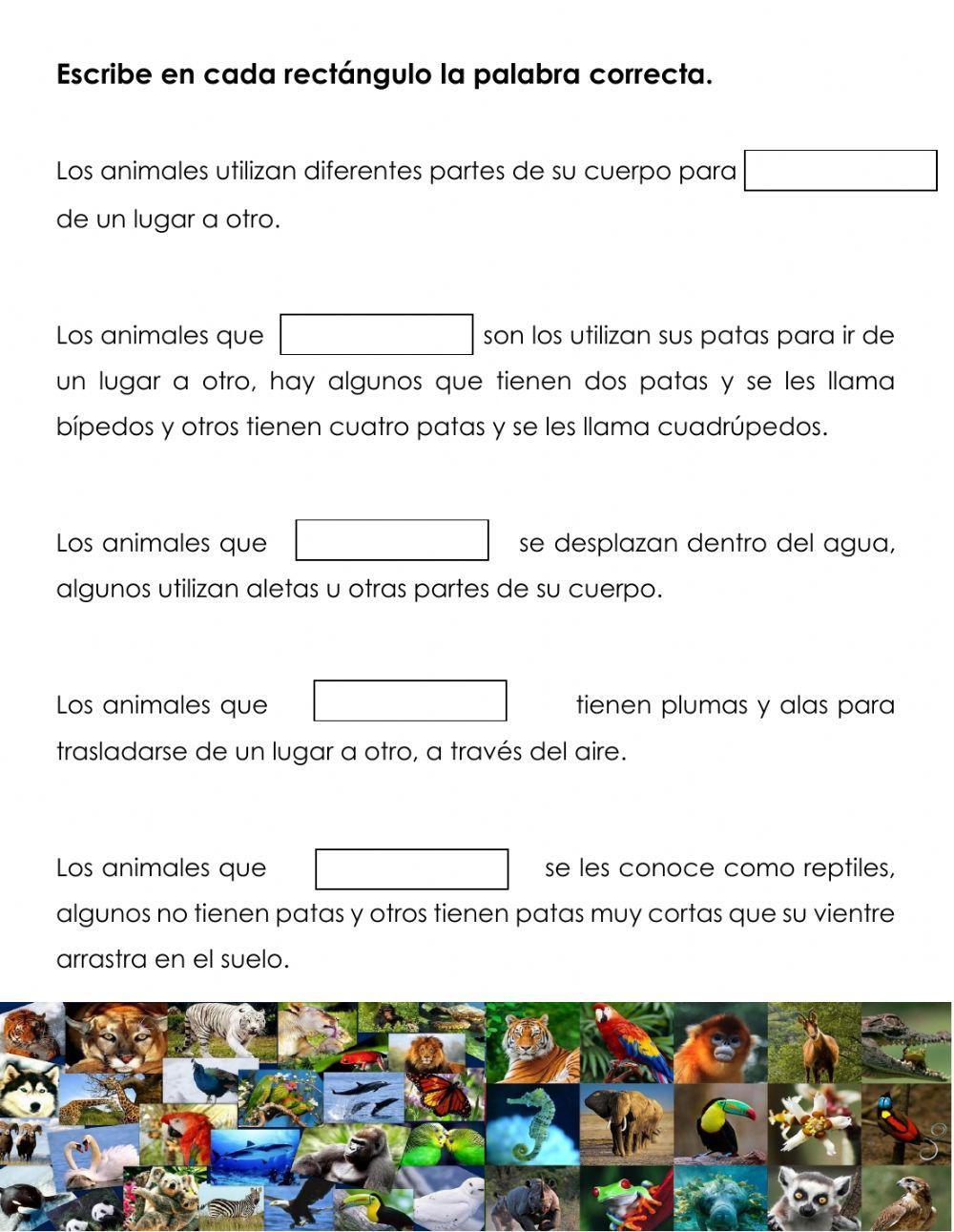 Forma de desplazarse de los animales