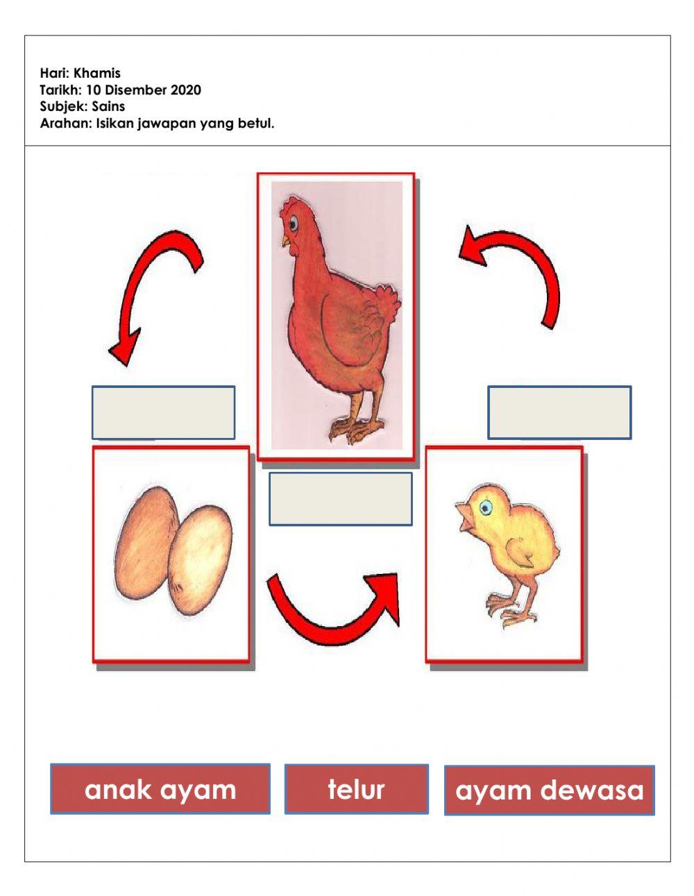 Tugasan pkpb sains (5tahun) 10.12.2020