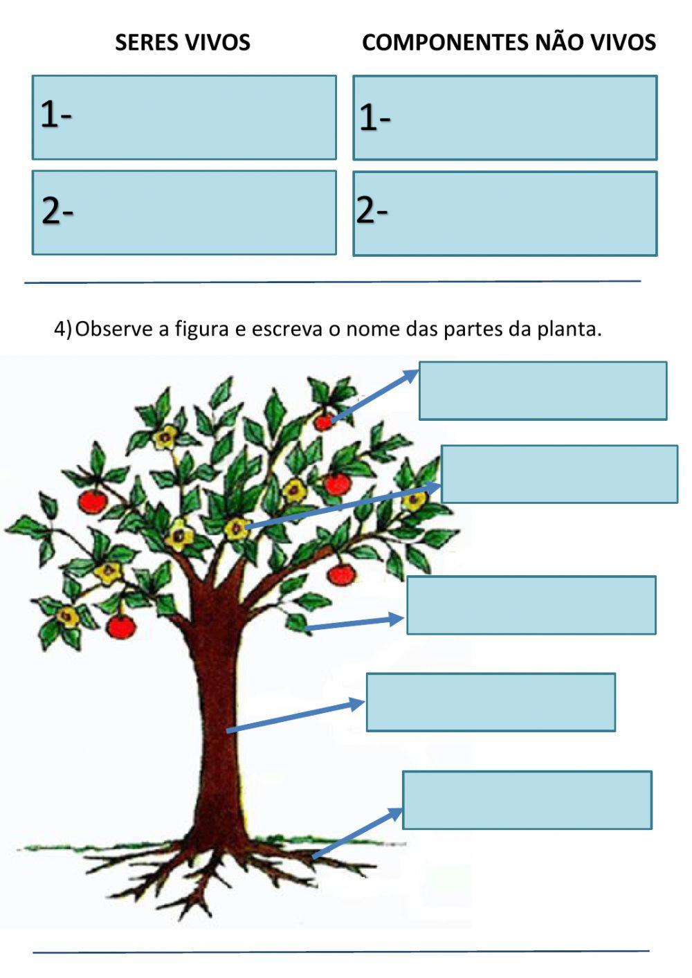 Revisão de Ciências
