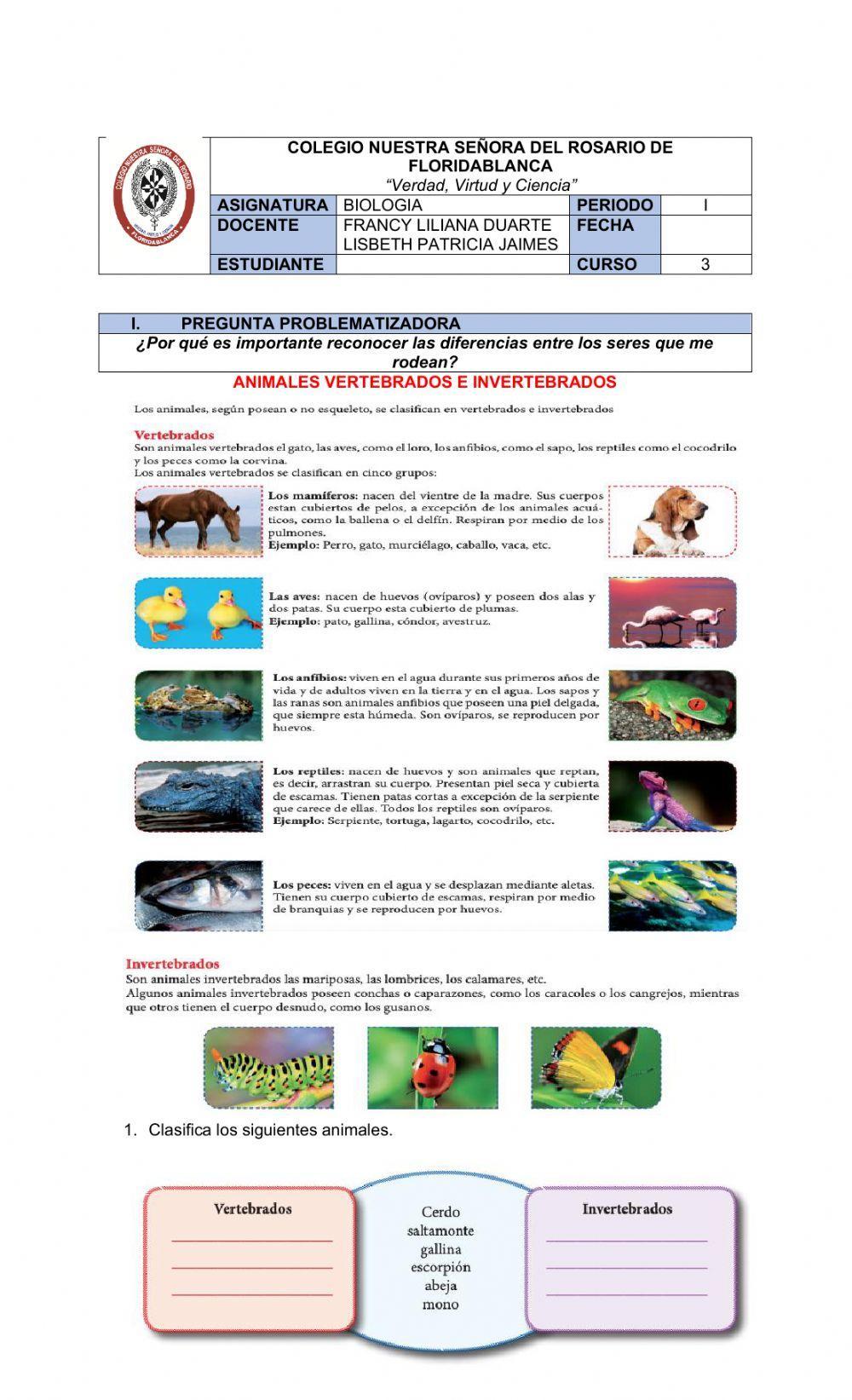 Clasificación de los seres vivos