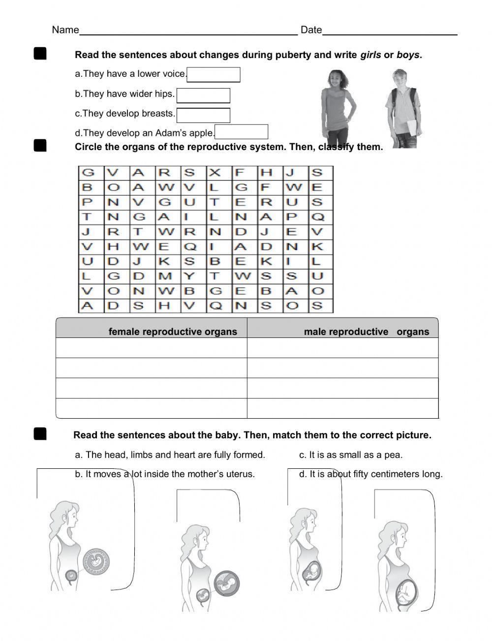 review-unit-3-reproduction-worksheet-live-worksheets