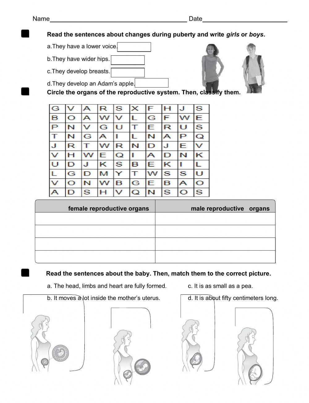 Review unit 3 reproduction