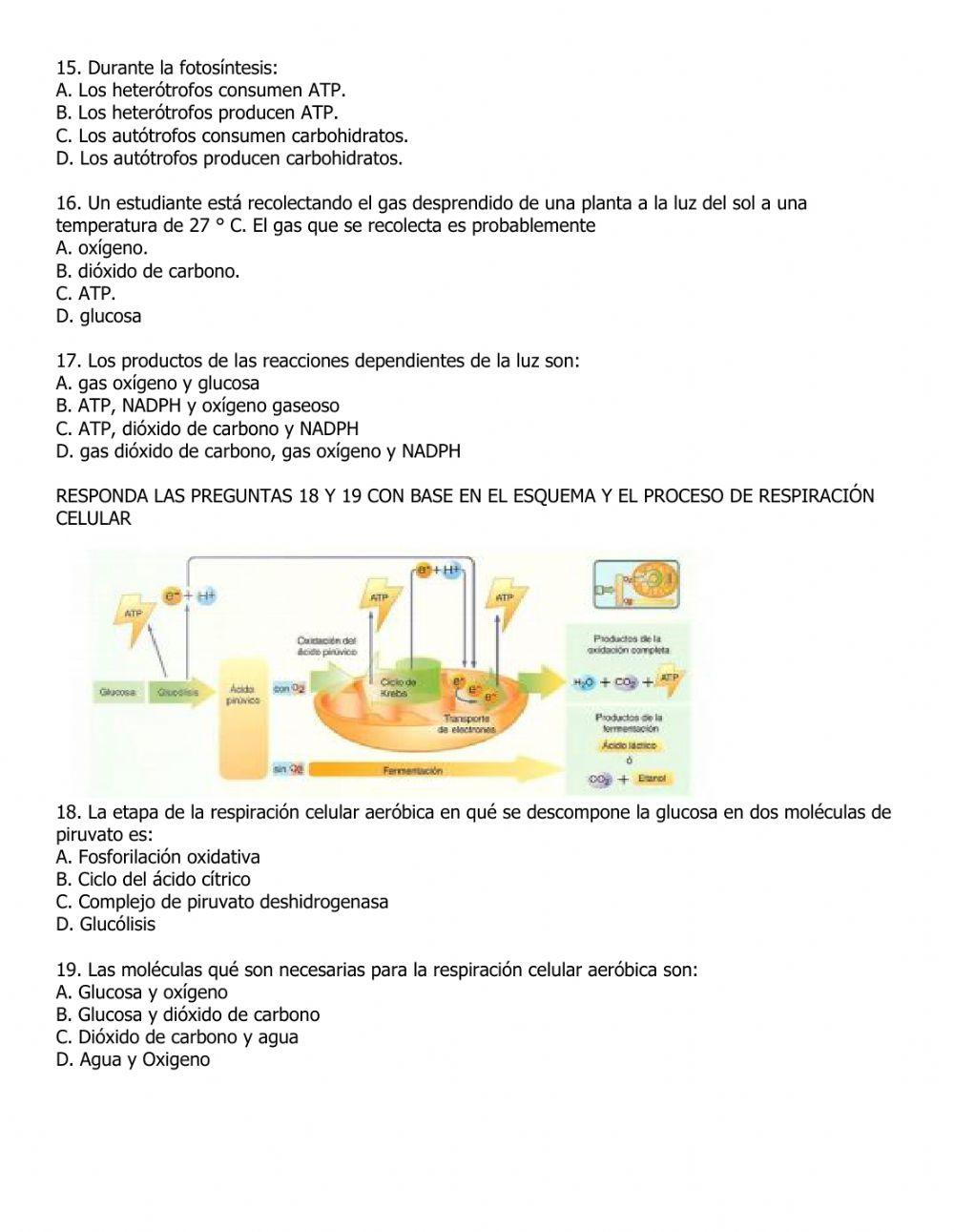 Metabolismo y biomoléculas