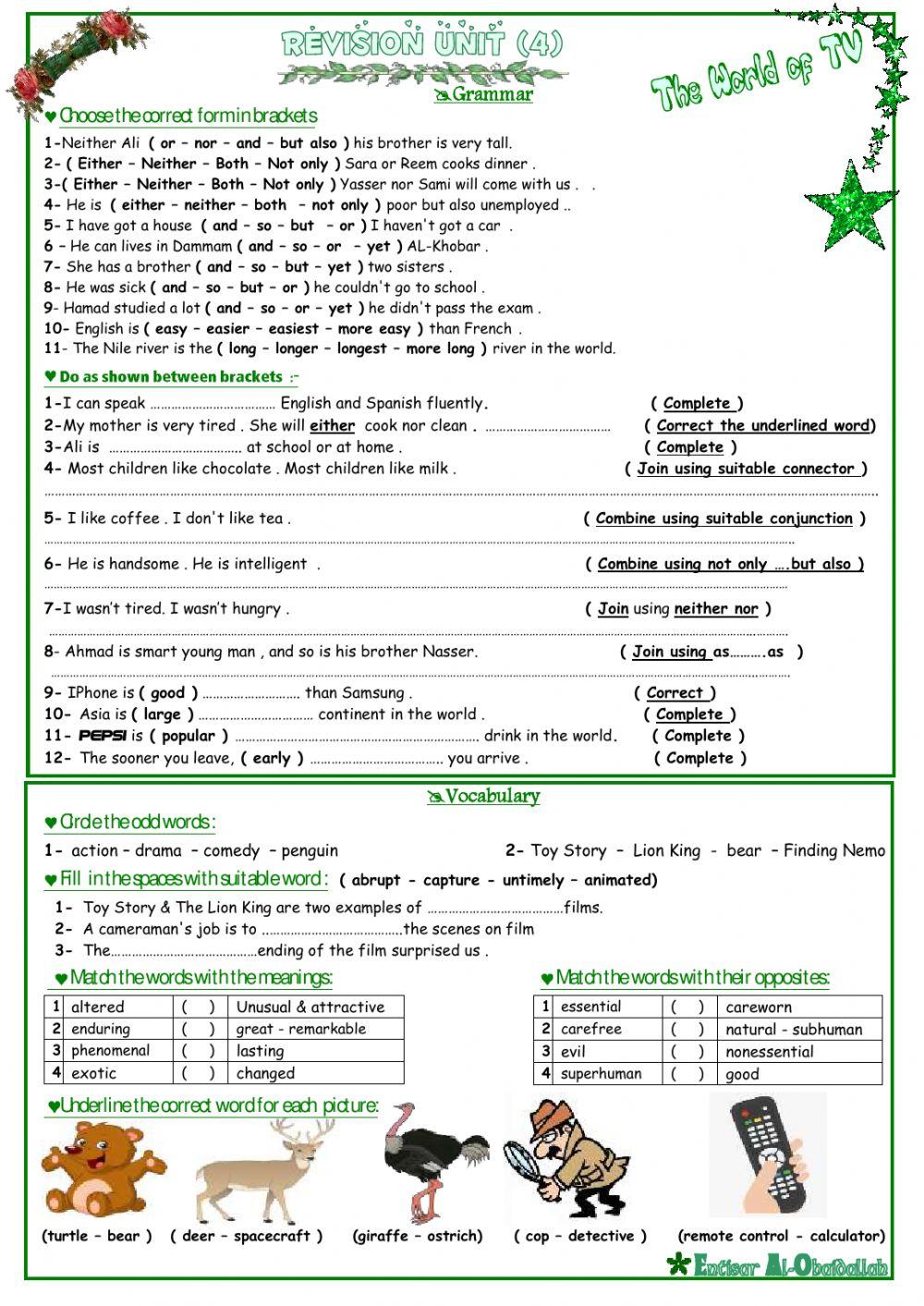 MG5 Unit 4 Revision